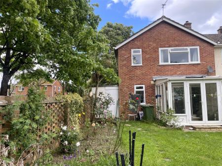 Back Garden