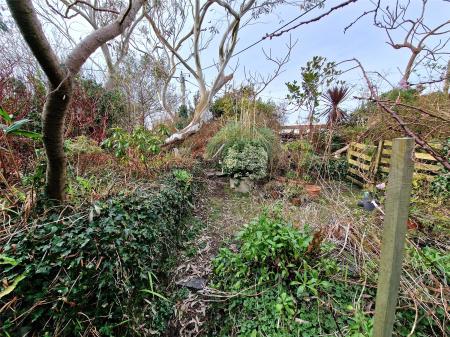 Communal Garden
