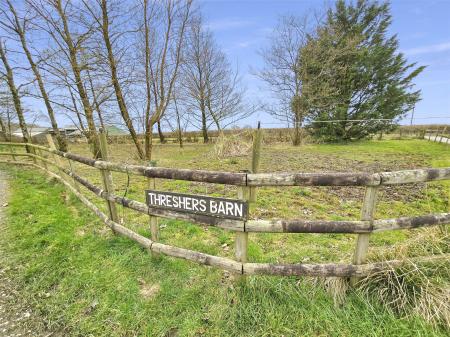 Entrance/Paddock