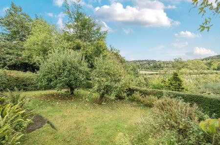 1346509-36-68b701...