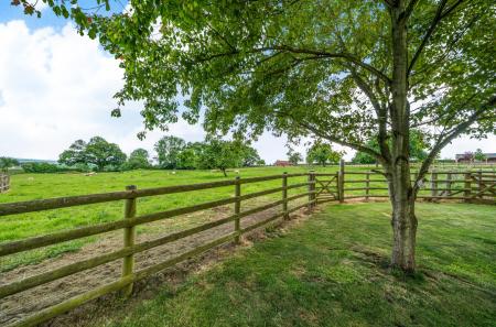 Field