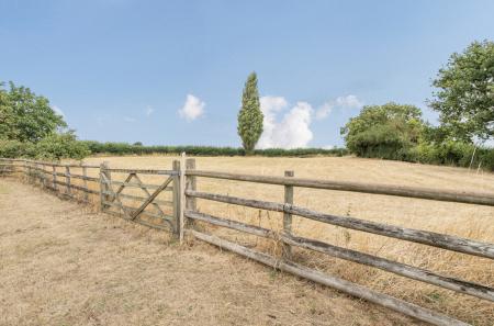 1333382-4-6895034...