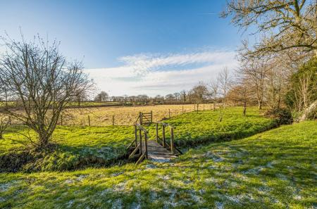 1386146-32-695d19...