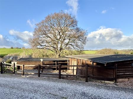 Stables