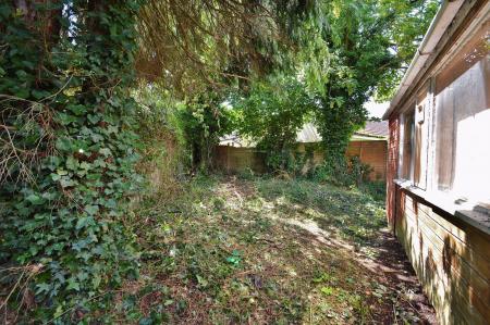 image15