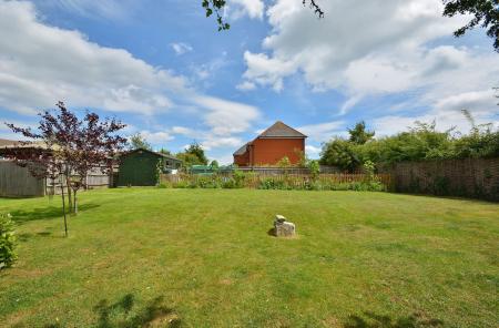 image25