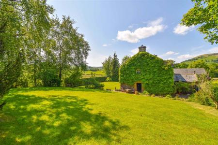 Goosegreen_45[1].jpg