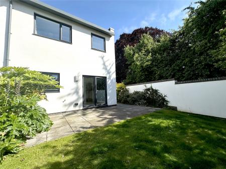Back Garden