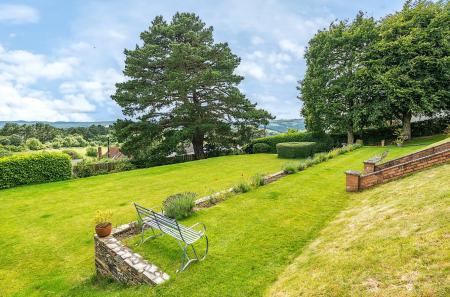 Garden & View