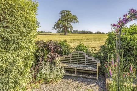 Garden Views