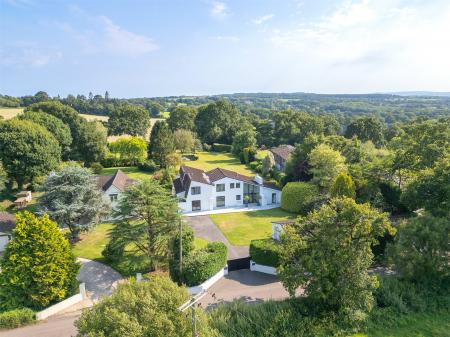 Elevated View