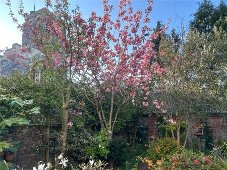 Blossom Tree