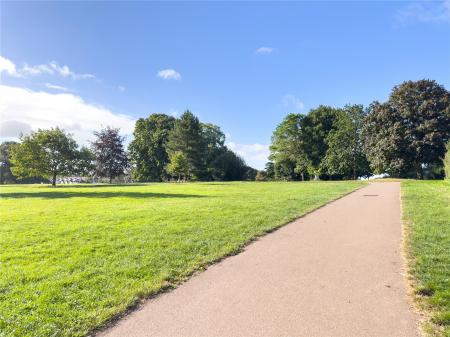 Local Park