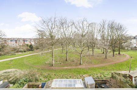 Park Views