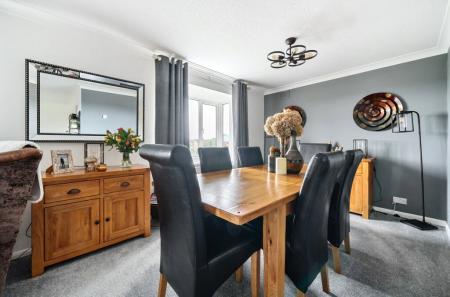 Living / Dining Area
