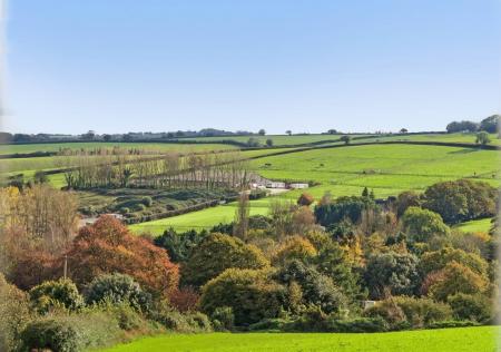Property Views
