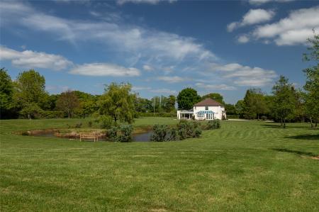 Grounds