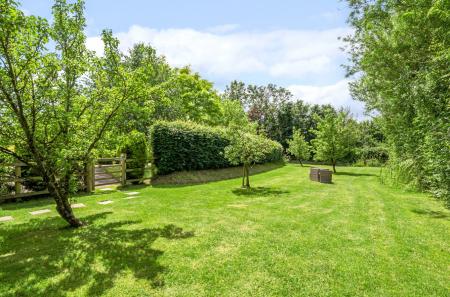 Orchard