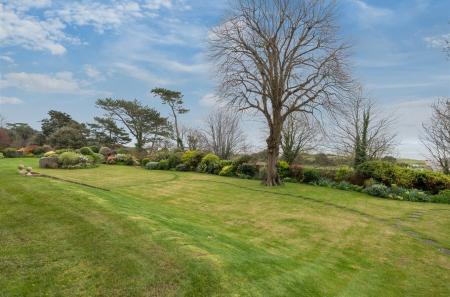 Communal Gardens