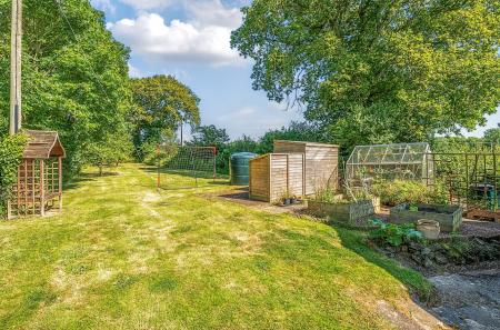 Vegetable Garden