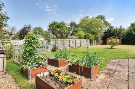 Vegetable Garden