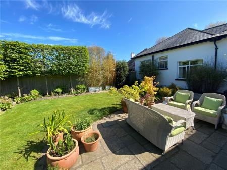 Back Garden