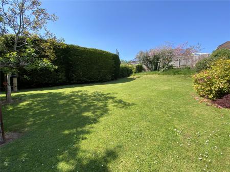 Lawns