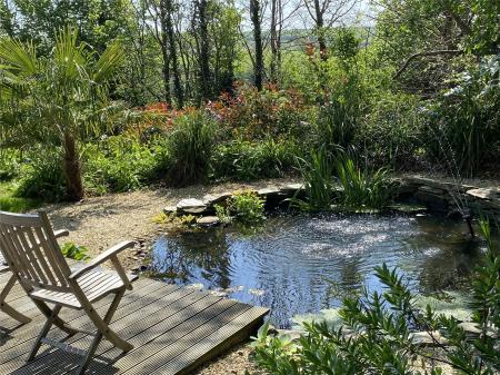 Water Feature