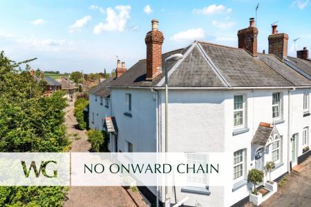 No Chain
