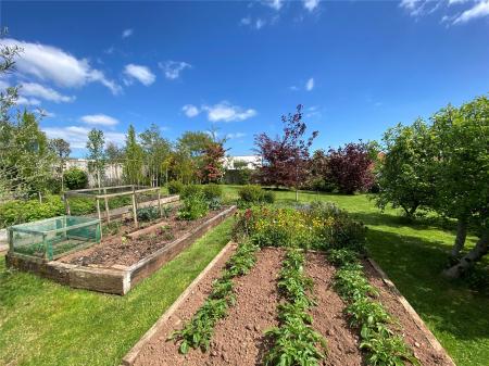 Kitchen Garden