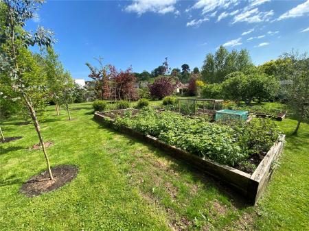 Veg Patch