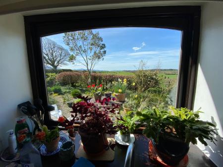 View through Kitchen Window