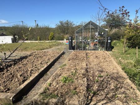 Veg Patch