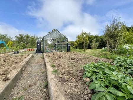 Green House + Veg Patch