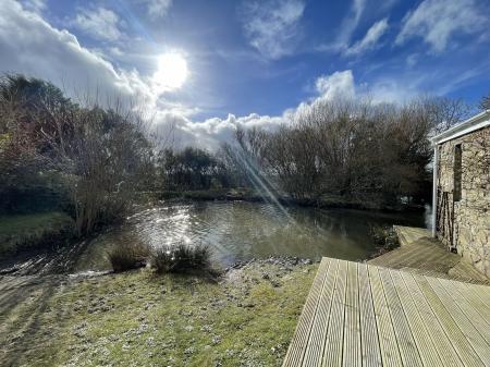 View Over Pond