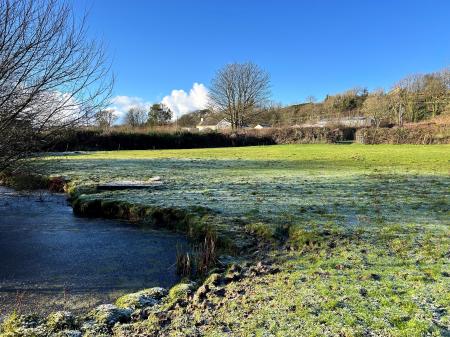 View of Land and Pond