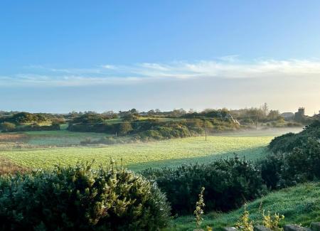 View from back garden