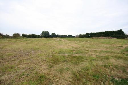 View of the Site