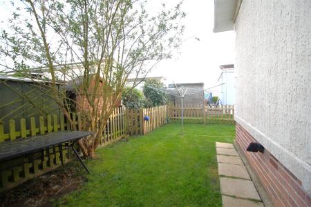 garden image 1 .JPG