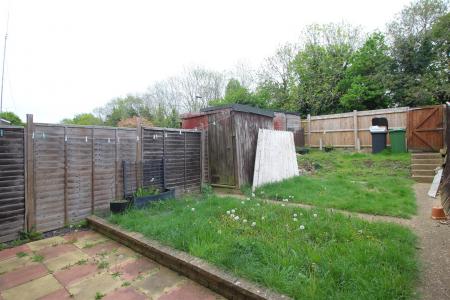 garden 1 .JPG