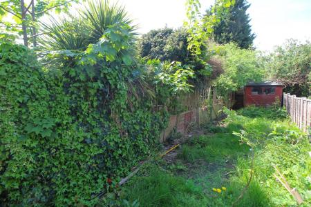 garden .JPG
