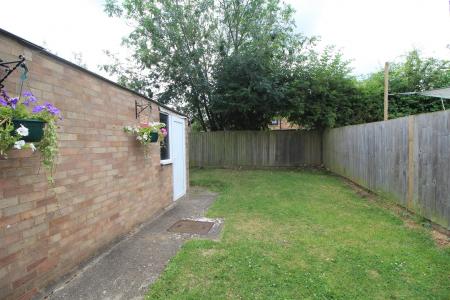 garden 1 .jpg