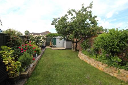garden 3 .JPG