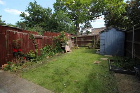 garden .JPG
