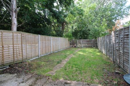 garden 1.JPG