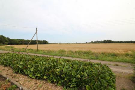 field views.JPG