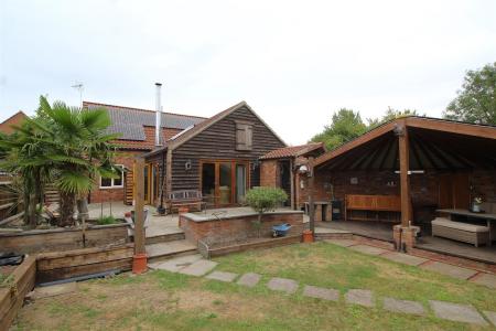 garden 1 .JPG