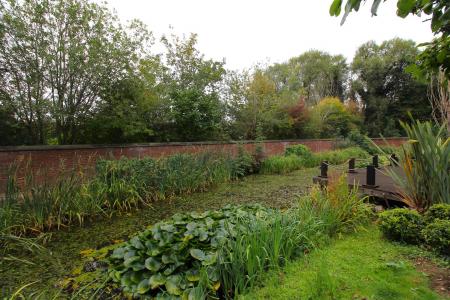 communal grounds.JPG