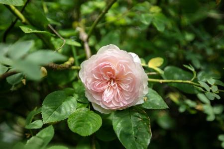 3Y6A4867.jpg
