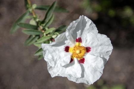 3Y6A2953.jpg